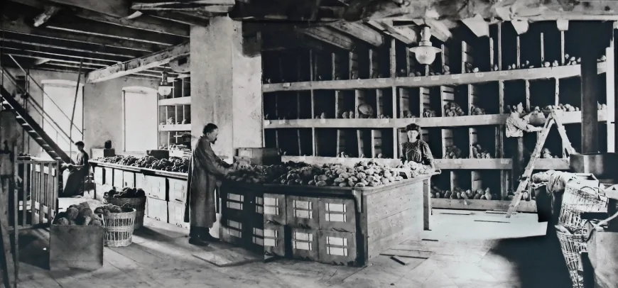 Progetto Botteghe Scuola Artigiane – Confartigianato Trieste e Università Popolare