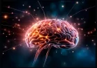 Allenare il cervello per rallentare il declino cognitivo: come attività fisica e mentale riducono l’infiammazione