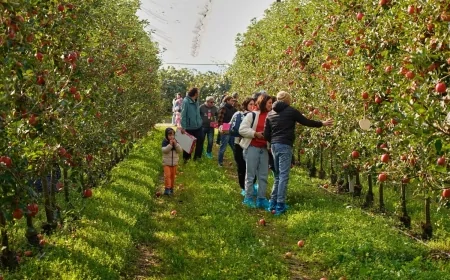 Faenza 2025: successo per “Adotta un Albero” di Pink Lady® – Famiglie e produttori insieme per la sostenibilità