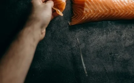 Il silenzio del salmone