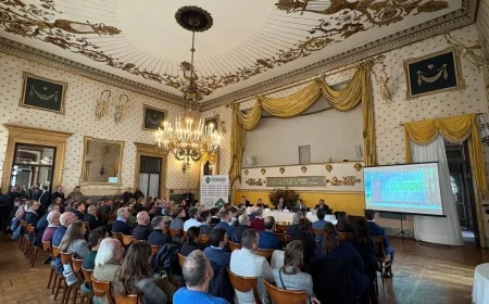 Padova 2025: mercato immobiliare in crescita tra nuovi investimenti e domanda in aumento