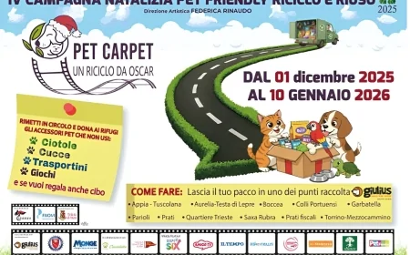 Sostenibilità a 4 zampe: torna “Pet Carpet – Un riciclo da Oscar” per aiutare i rifugi a Natale