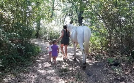 Famiglia trovata nel bosco, minori trasferiti: il governo valuta un’ispezione