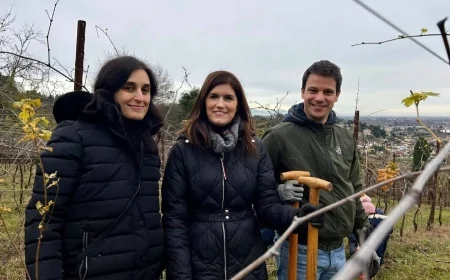 Bosco Insieme: Bvr Banca Veneto Centrale pianta 1.400 nuovi alberi ad Arcugnano