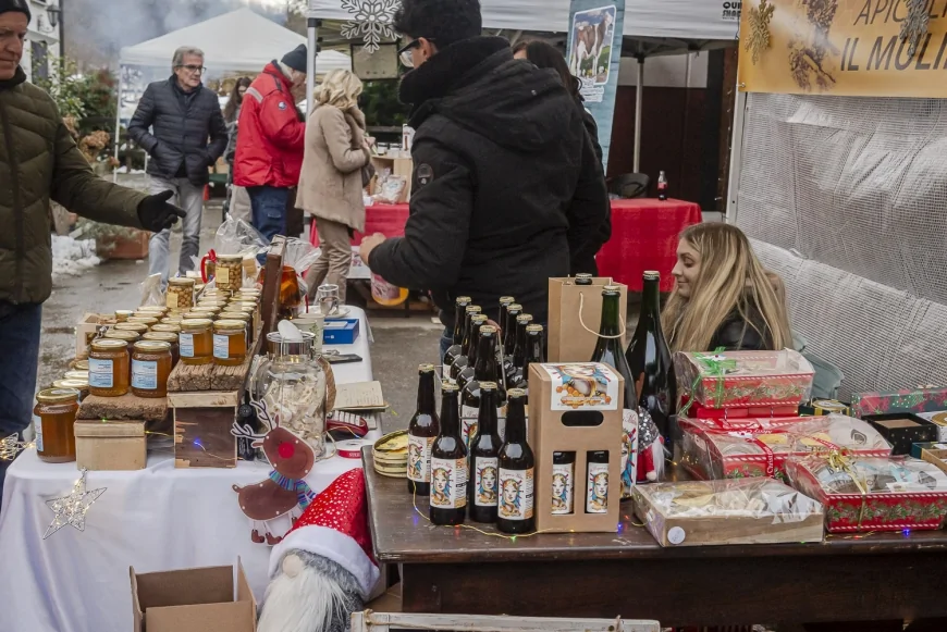 Mercatino di Natale 2025 all’Adventure Park Le Pigne di Ameno: Babbo Natale, elfi e magia nel bosco