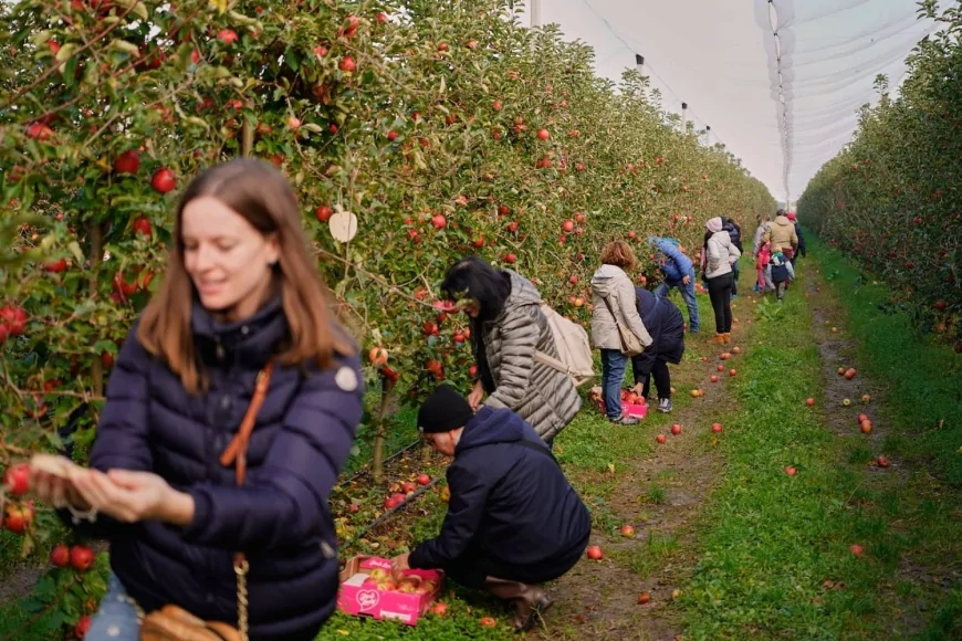 Faenza 2025: successo per “Adotta un Albero” di Pink Lady® – Famiglie e produttori insieme per la sostenibilità