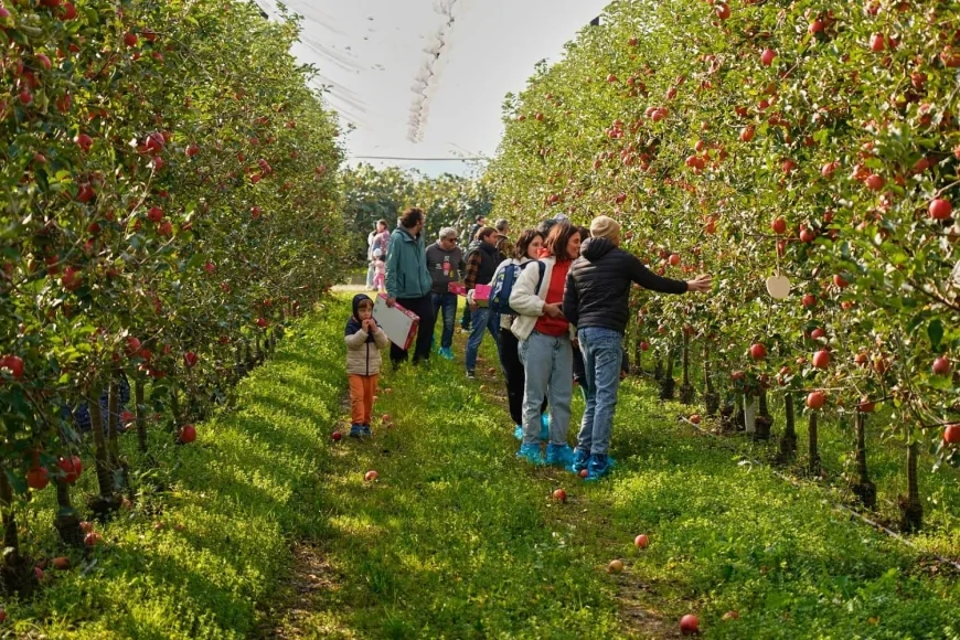 Faenza 2025: successo per “Adotta un Albero” di Pink Lady® – Famiglie e produttori insieme per la sostenibilità