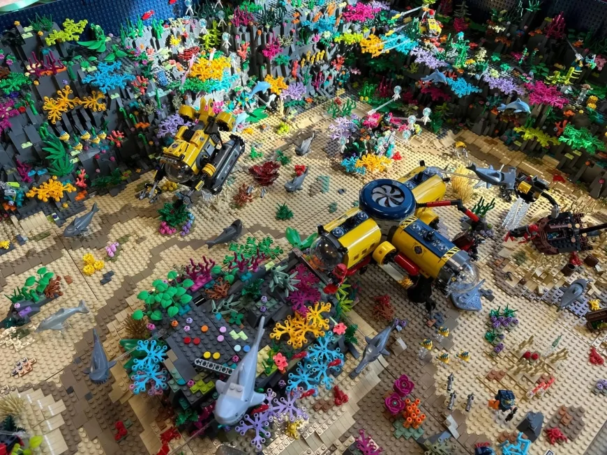 Gardaland SEA LIFE Aquarium celebra la Giornata della Gentilezza con eventi per famiglie e squali protagonisti