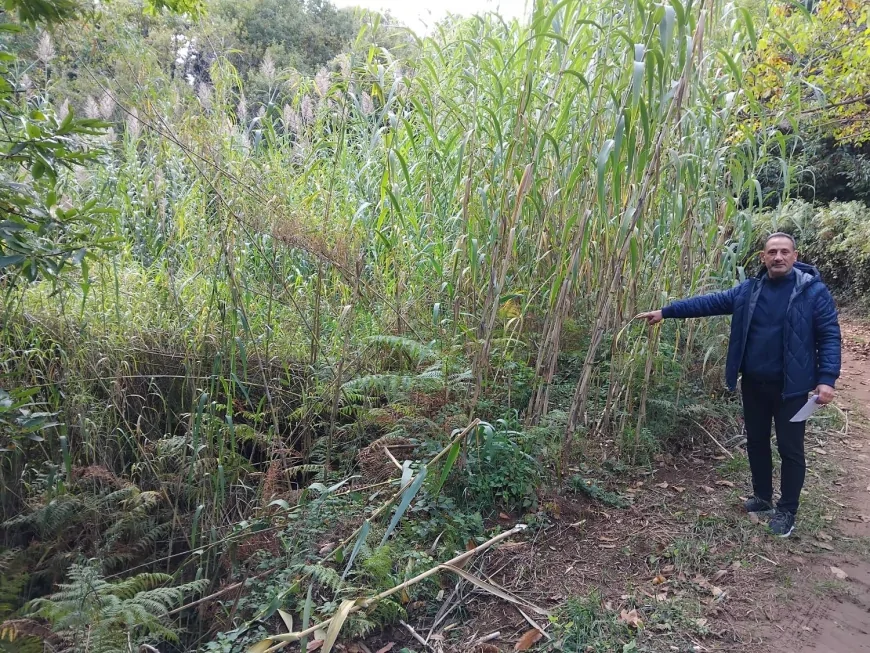 Torrenti Ponzo e Ponzio in Calabria: correzione dell’errore toponomastico tra Badolato e Girifalco