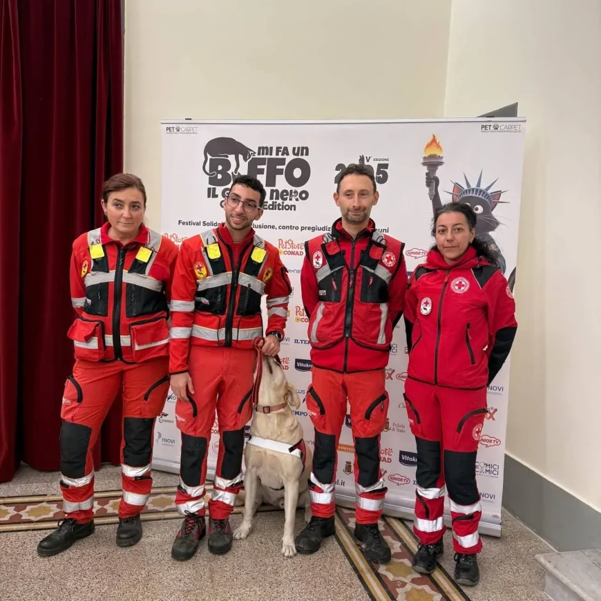 Mi fa un baffo il gatto nero Festival 2025: inclusione e vincitori