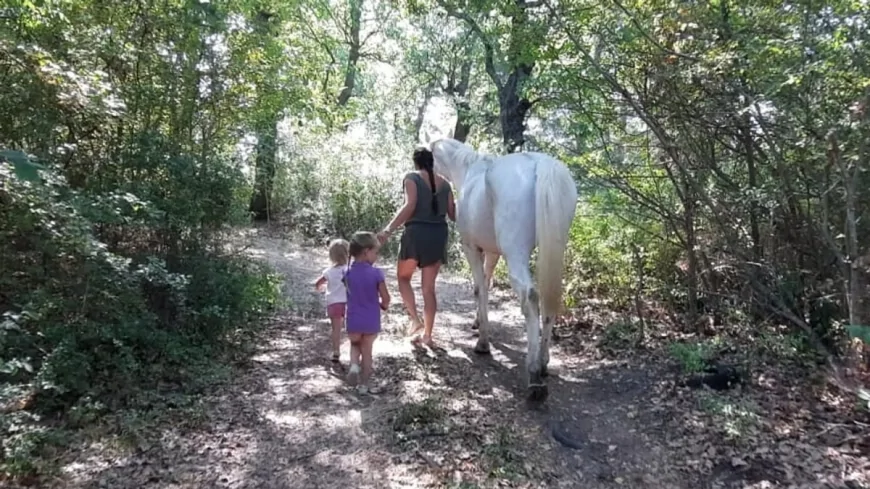 Famiglia trovata nel bosco, minori trasferiti: il governo valuta un’ispezione