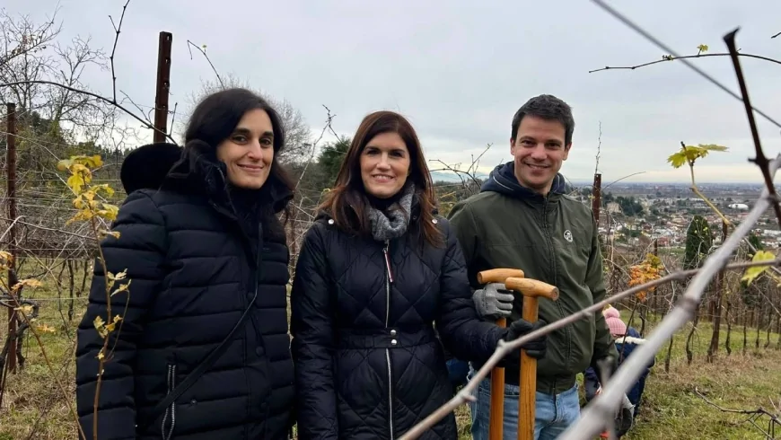 Bosco Insieme: Bvr Banca Veneto Centrale pianta 1.400 nuovi alberi ad Arcugnano