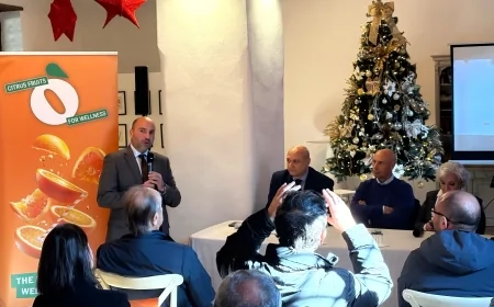 Arance Rosse di Sicilia IGP: presentato il progetto europeo Citrus Fruits for Wellness