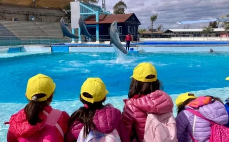 “La seconda vita dei giocattoli”: a Zoomarine riparte la campagna solidale del riciclo