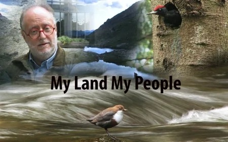 Documentari naturalistici sulla montagna italiana: i film di Baldovino Midali