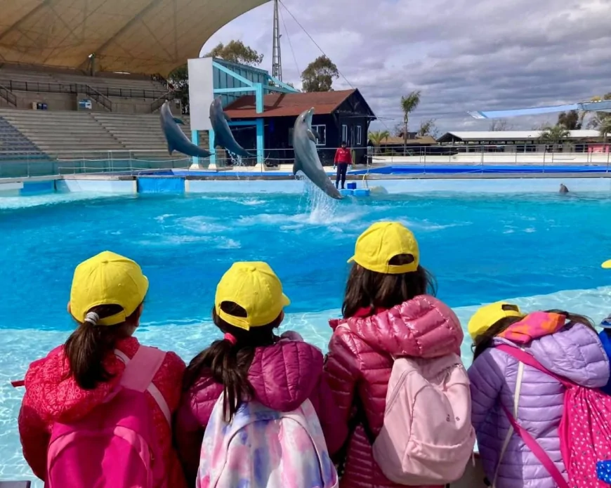 “La seconda vita dei giocattoli”: a Zoomarine riparte la campagna solidale del riciclo