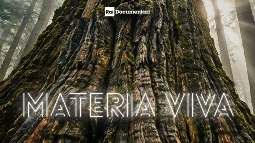 “Materia Viva”: il documentario sul legno altoatesino su Rai 3