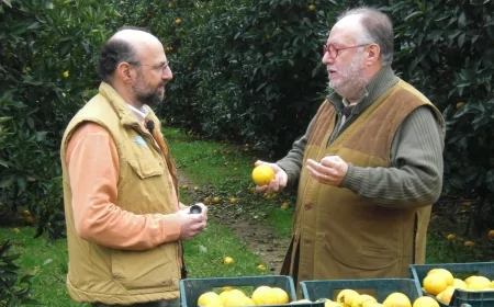 Edoardo Raspelli a Palagiano: gli agrumi di Puglia protagonisti su Canale 5