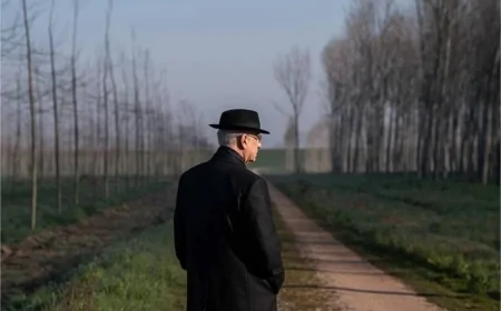 La Grazia, il film con Toni Servillo tra ironia e malinconia