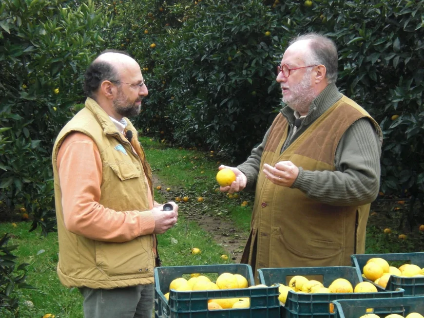 Edoardo Raspelli a Palagiano: gli agrumi di Puglia protagonisti su Canale 5