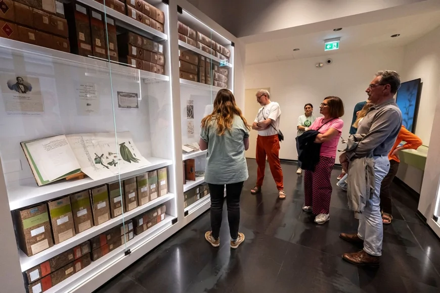 Risvegli. La festa dei fiori: aperte le prenotazioni per l’edizione 2026