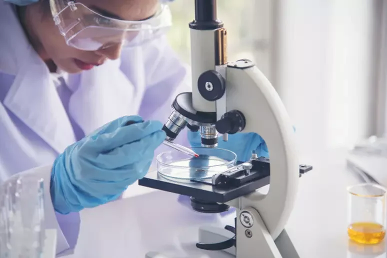 Terapie antitumorali, individuata proteina che blocca difese immunitarie