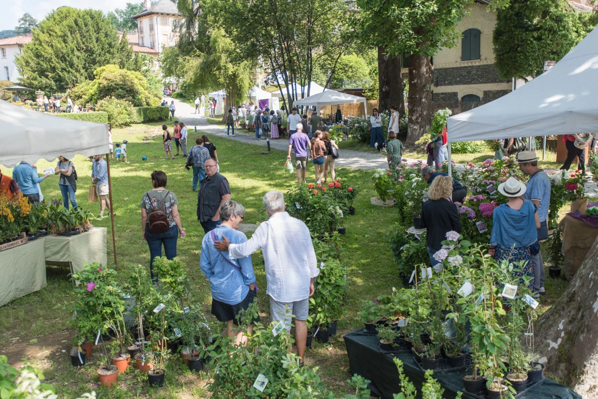La kermesse botanica "Menta e Rosmarino" torna a Miasino: il 13 e 14 giugno 2026 un fine settimana dedicato al dialogo tra natura e arte.