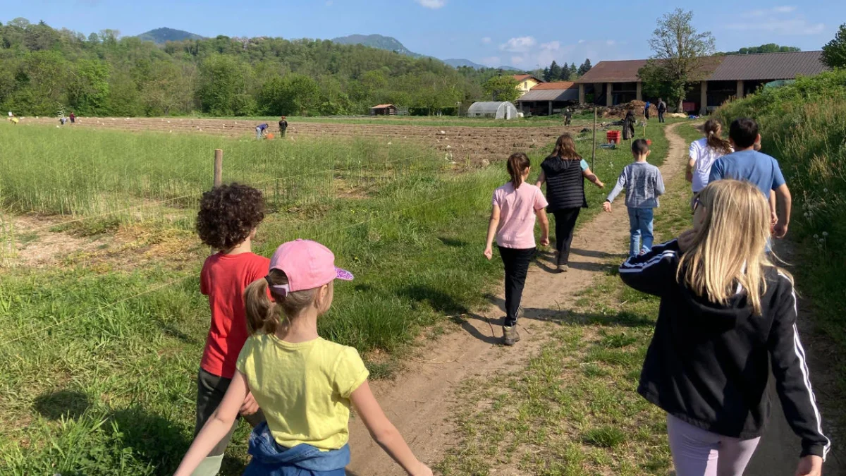 Passeggiata gratuita da Cantello con attività di orientering per i bimbi dai 6 ai 10 anni il 2 giugno