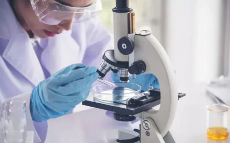 Terapie antitumorali, individuata proteina che blocca difese immunitarie