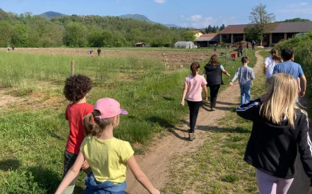 Passeggiata gratuita da Cantello con attività di orientering per i bimbi dai 6 ai 10 anni il 2 giugno