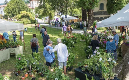 La kermesse botanica "Menta e Rosmarino" torna a Miasino: il 13 e 14 giugno 2026 un fine settimana dedicato al dialogo tra natura e arte.