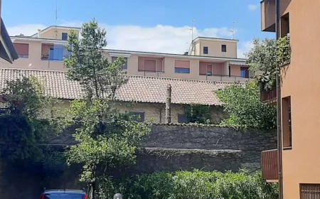 Magenta: abeti rossi abbattuti nel centro storico, cittadino segnala alla Polizia locale