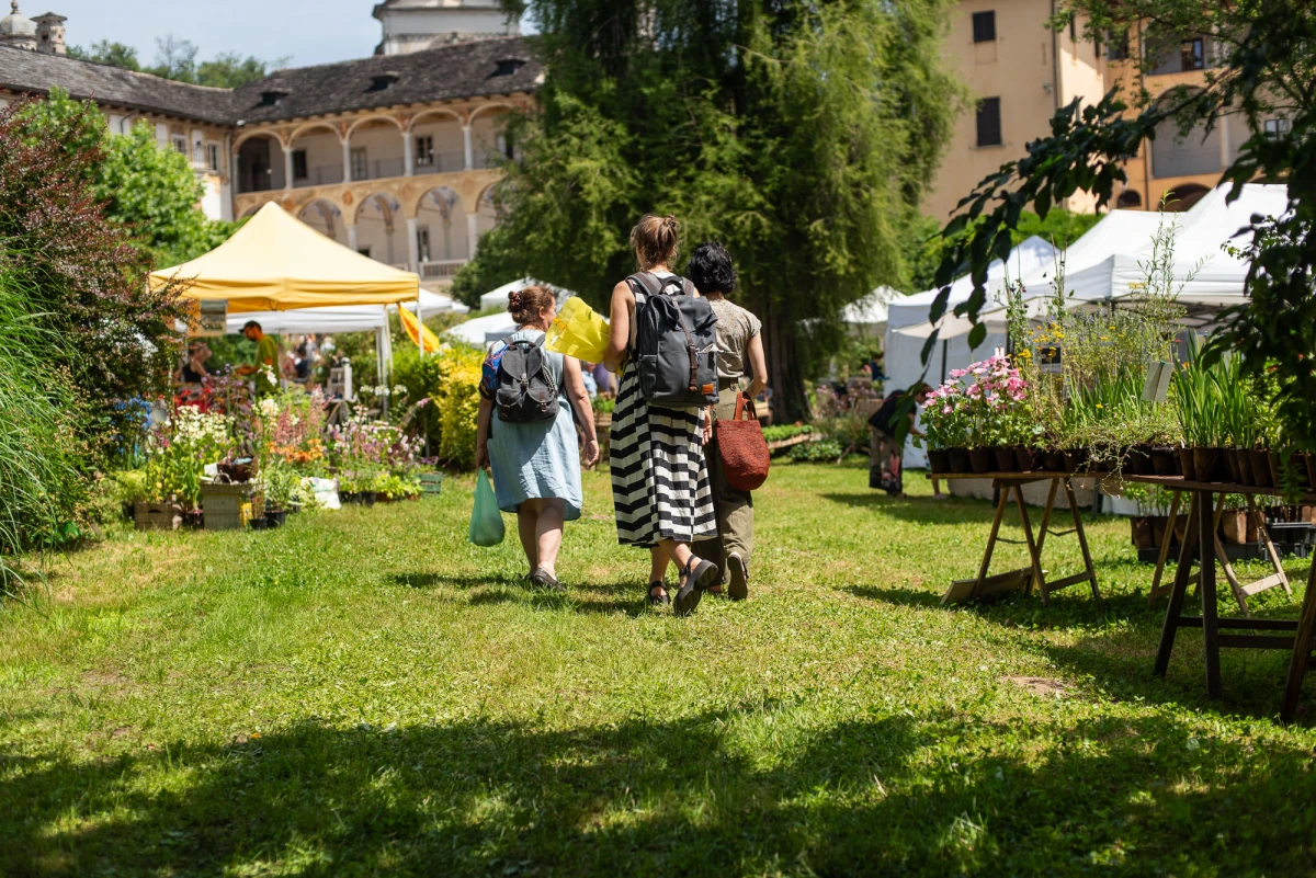 Dal 6 al 27 giugno tre mostre in contemporanea per la XIV edizione della kermesse botanica Menta e Rosmarino 2026