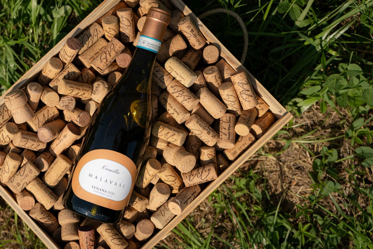 5StarWines by Vinitaly 2026 premia il Lugana contemporaneo di Tenuta Malavasi: il Camilla 2025 è il “Best White Wine” con 97/100