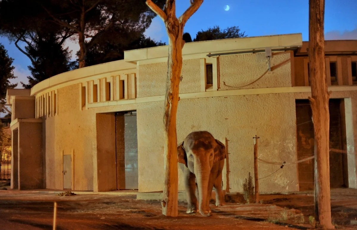 IL BIOPARCO AL TRAMONTO’: prolungamento orario straordinario fino alle 21.30 