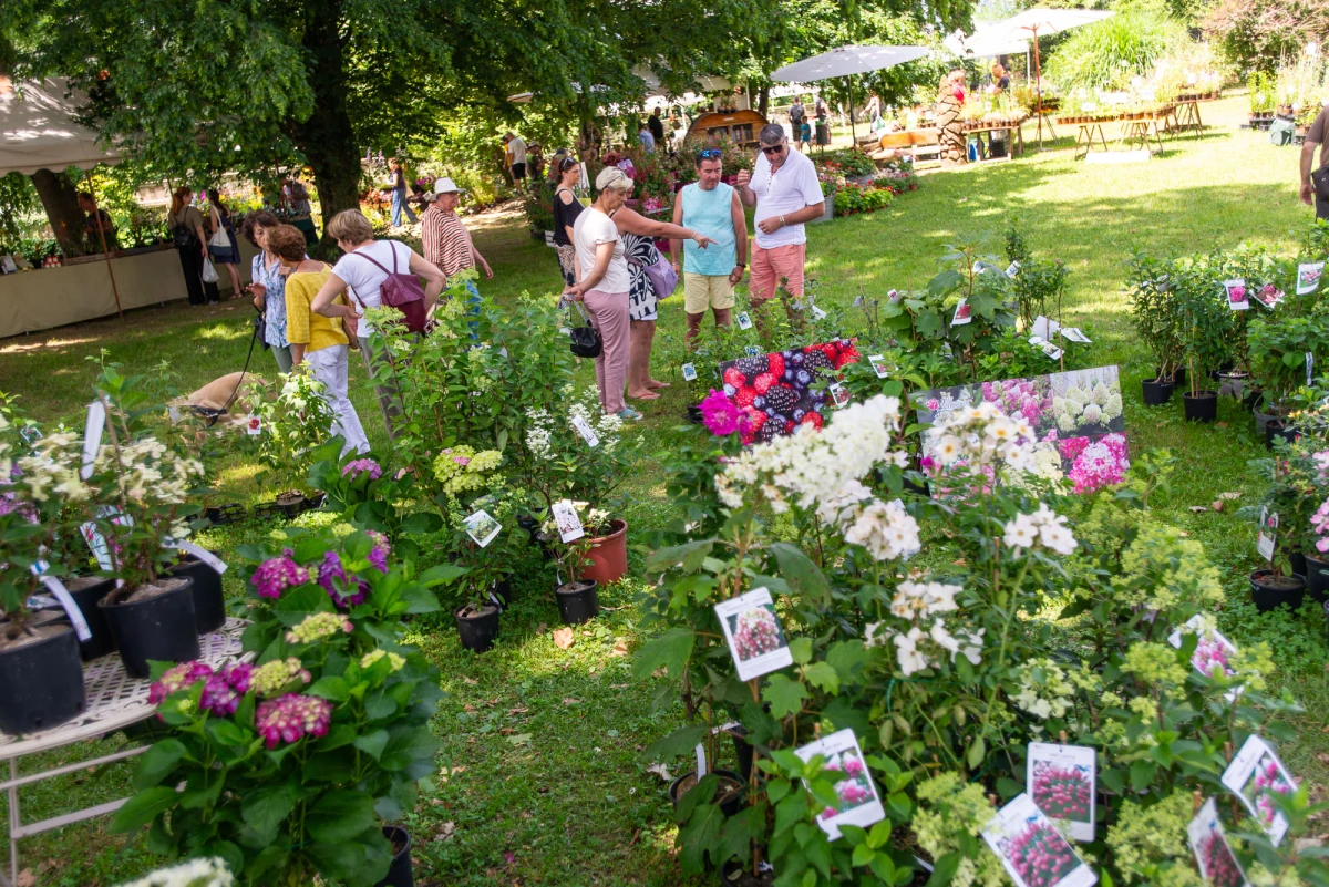Menta e Rosmarino 2026, kermesse botanica sul Lago d'Orta - Il programma completo