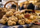 Fiera del Tartufo Bianco d’Alba 2026: sapori e tradizioni nelle Langhe