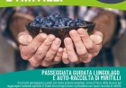 Storia e sapori di Ispra e del suo lago: il 28 giugno escursione dal lungolago al parco della Quassa per raccogliere mirtilli bio 