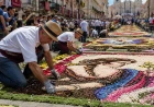 Infiorata di Genzano 2026: tappeti floreali nei Castelli Romani