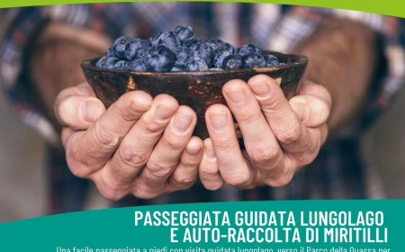 Storia e sapori di Ispra e del suo lago: il 28 giugno escursione dal lungolago al parco della Quassa per raccogliere mirtilli bio 