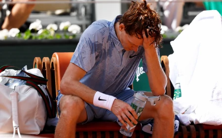 Sinner al San Raffaele di Milano per accertamenti dopo il malore al Roland Garros