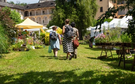 Dal 6 al 27 giugno tre mostre in contemporanea per la XIV edizione della kermesse botanica Menta e Rosmarino 2026