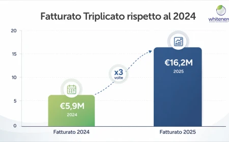WHITE ENERGY GROUP CHIUDE IL 2025 CON IL MIGLIOR BILANCIO DELLA SUA STORIA