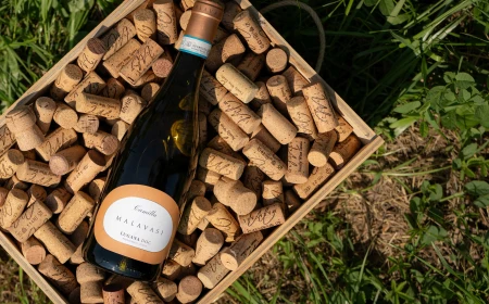 5StarWines by Vinitaly 2026 premia il Lugana contemporaneo di Tenuta Malavasi: il Camilla 2025 è il “Best White Wine” con 97/100