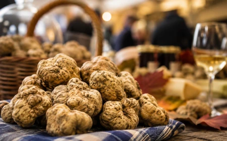 Fiera del Tartufo Bianco d’Alba 2026: sapori e tradizioni nelle Langhe