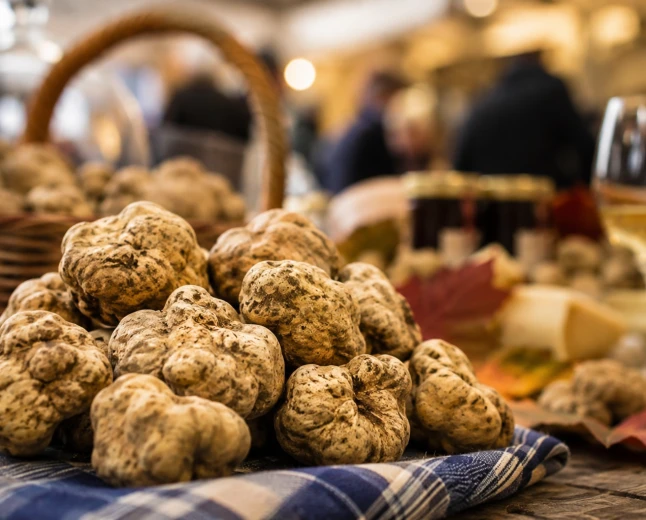 Fiera del Tartufo Bianco d’Alba 2026: sapori e tradizioni nelle Langhe