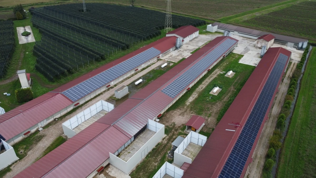 BLACKOUT ESTIVI: LA SOLUZIONE DI WHITE ENERGY GROUP