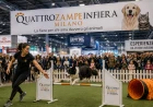 Quattrozampeinfiera Milano 2026: attività, orari e biglietti