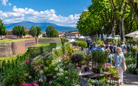Murabilia 2026 a Lucca: mostra mercato del giardinaggio con oltre 200 espositori
