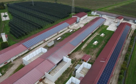 BLACKOUT ESTIVI: LA SOLUZIONE DI WHITE ENERGY GROUP